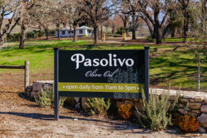 Pasolivo Olive Ranch in Central California